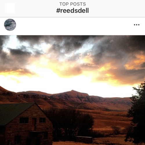 Instagram - Reedsdell2