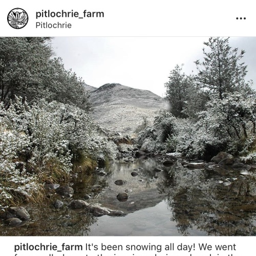 Pitlochrie - snow1