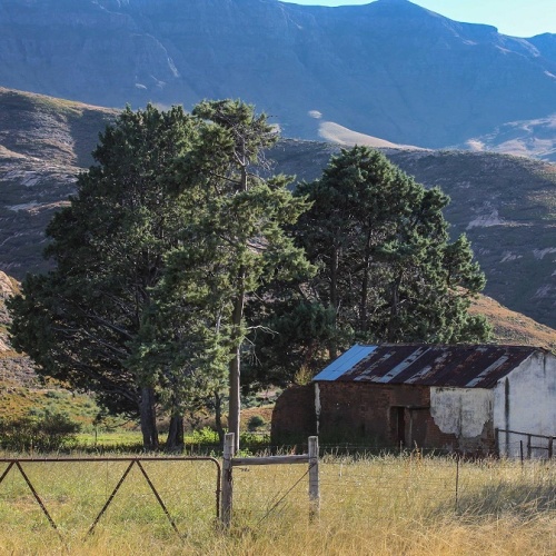 Reedsdell - Honeymoon Cottage