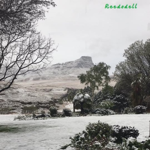 Reedsdell - snow3