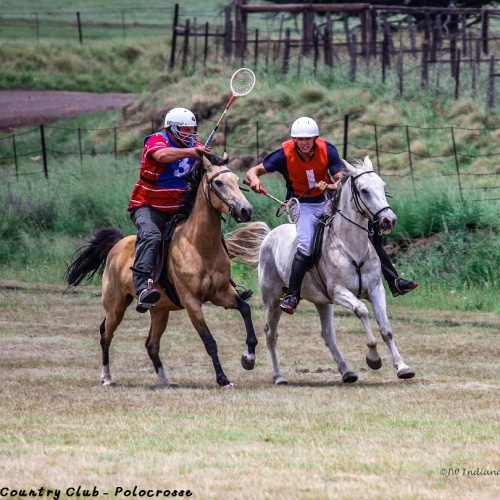 Wartrail - Polocrosse2