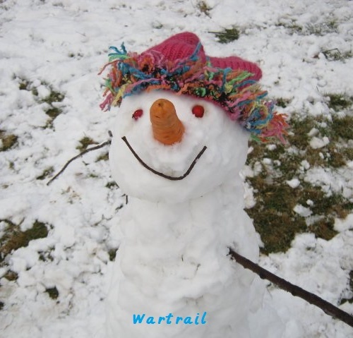 Wartrail - winter2