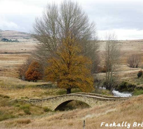 Faskally - Bridge2