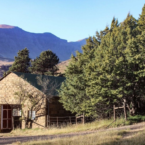 Reedsdell - shed